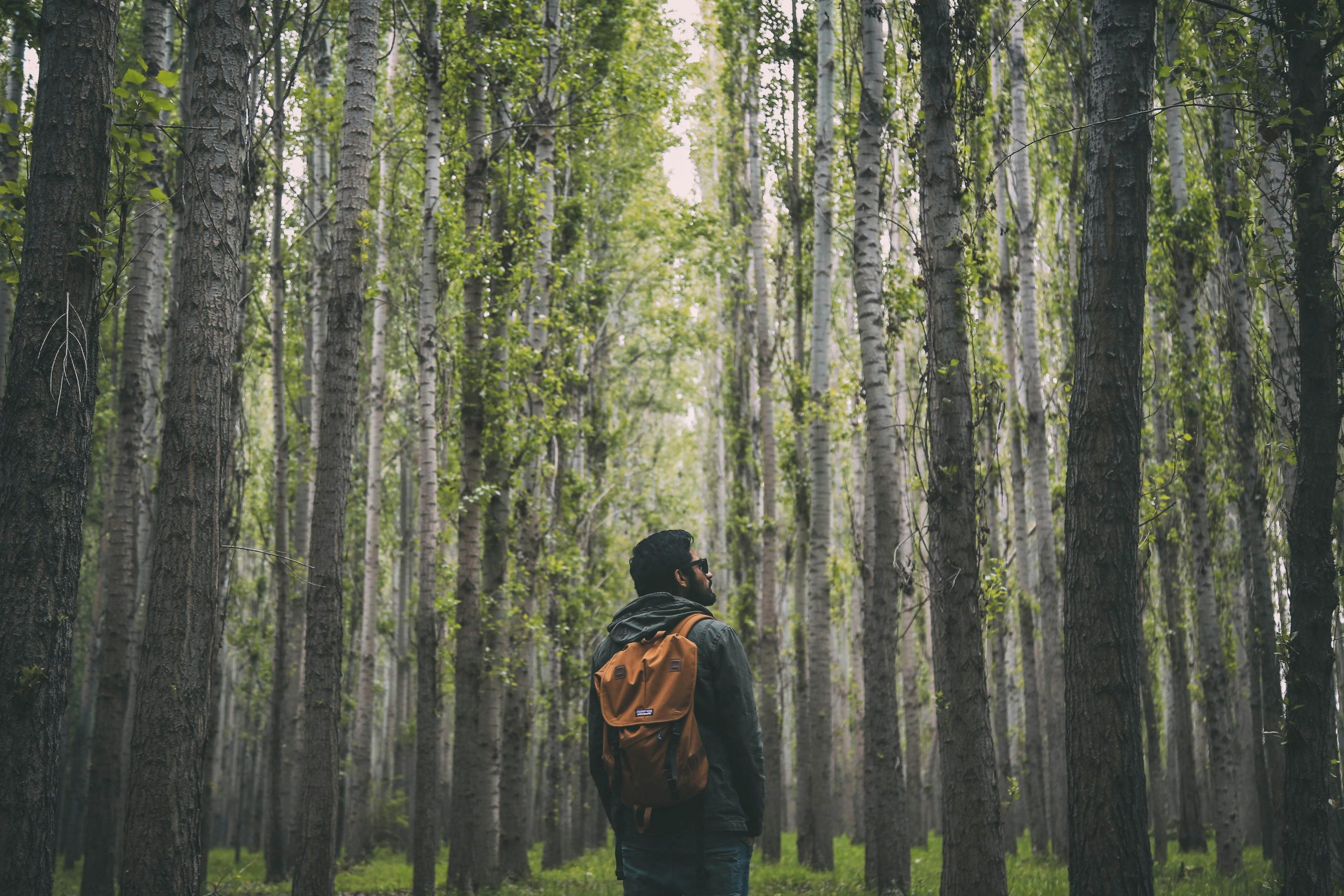 La Randonnée, une aventure au cœur de la nature