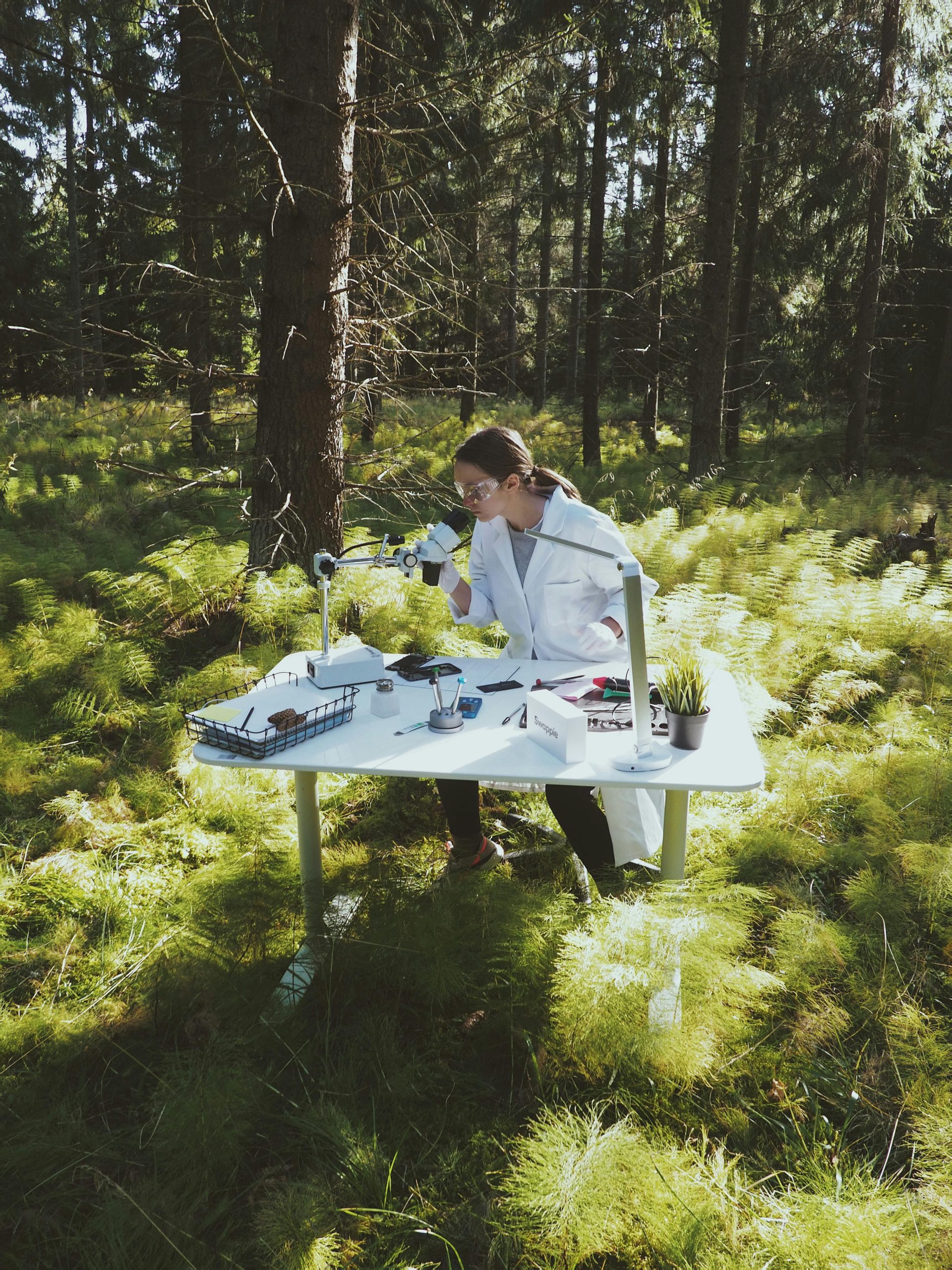 La Recherche en Biodiversité : comprendre, préserver, innover